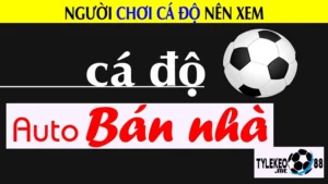 Khái niệm cá độ bóng đá là gì