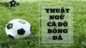 Vì Sao Cần Hiểu Thuật Ngữ Cá Độ Bóng Đá?