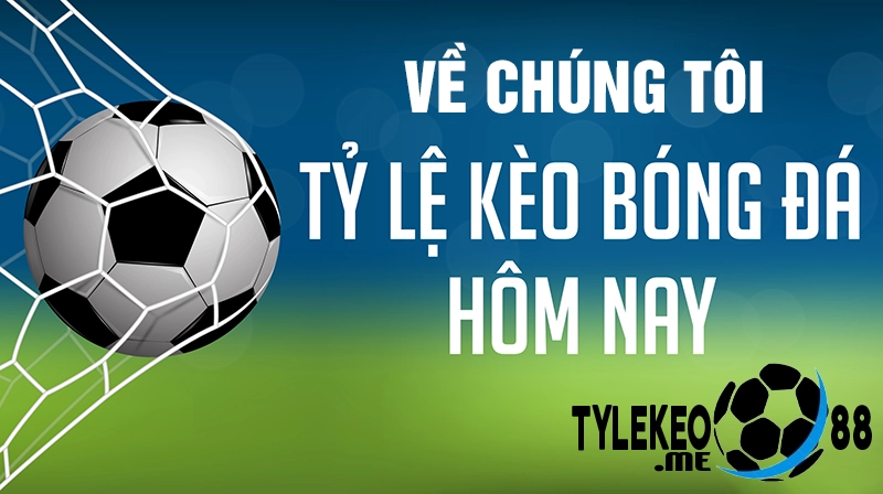 Tổng quan chung về chúng tôi - Tylekeo88